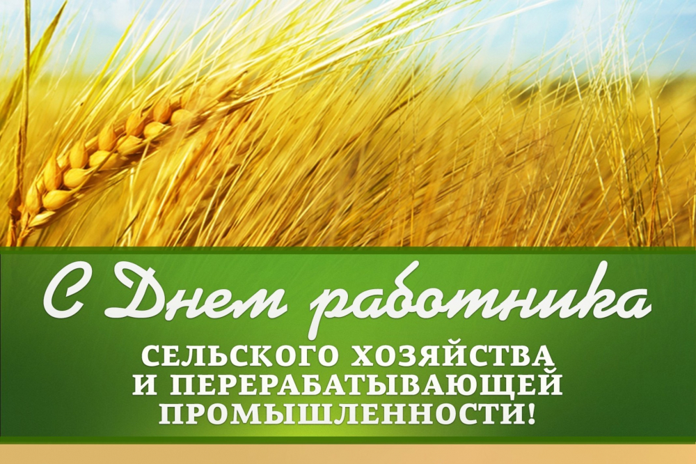 13 октября День работника сельского хозяйства и перерабатывающей промышленности